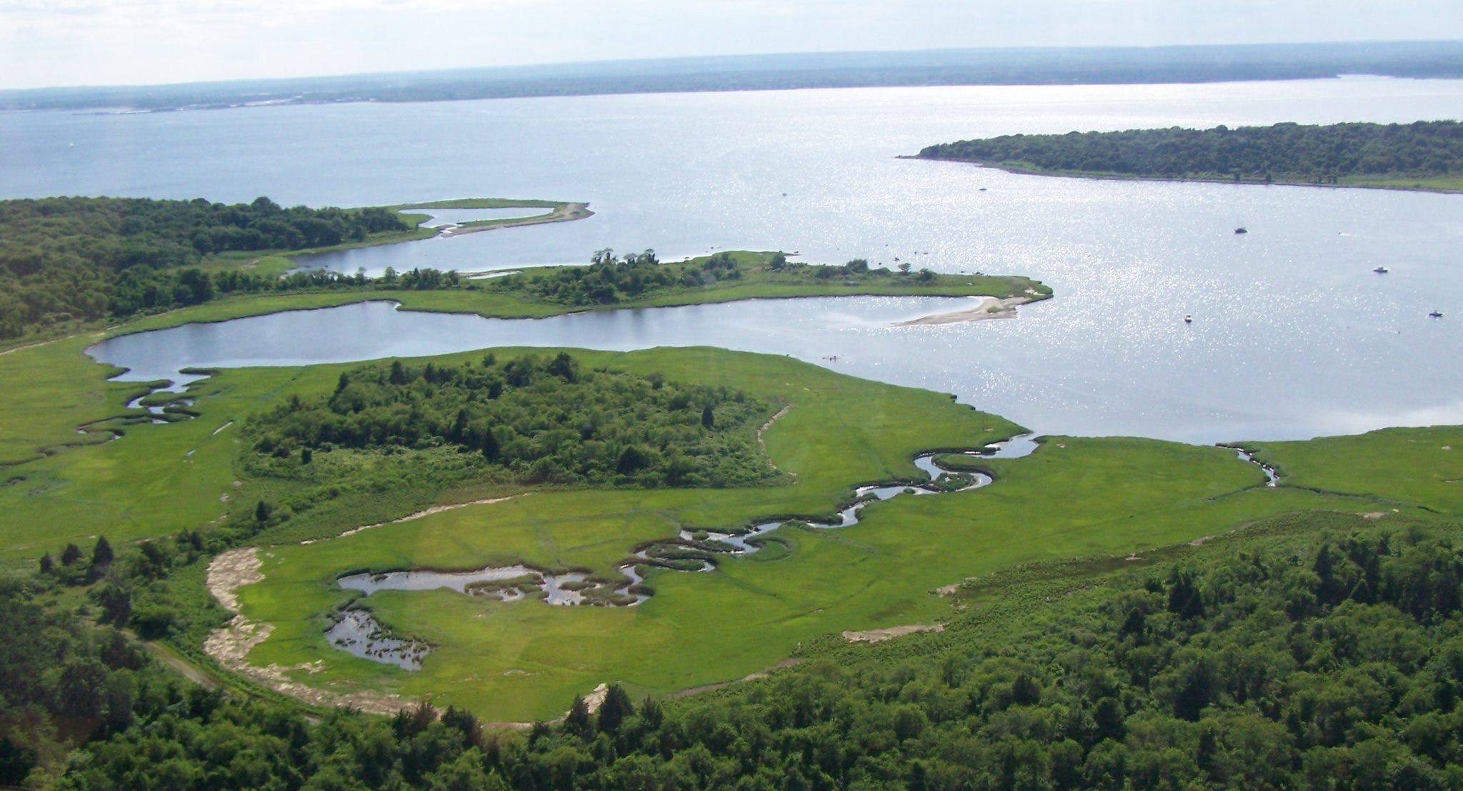 SWMP BioMonit2 Sentinel Site Cogg